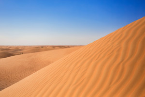 Desert Landscape_ENM Marketing